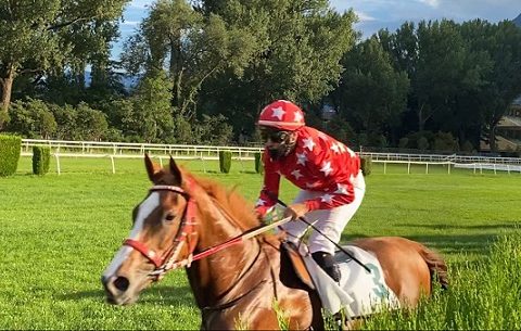 ITALIA. Merano, No Profit e Raffaele Romano gran numero nel Saverio Lembo, battono il compagno Urban Hero e si candidano alla siepi per i 4 anni. Broughton e Jo Bartos tutto semplice nel Paolo Meandri