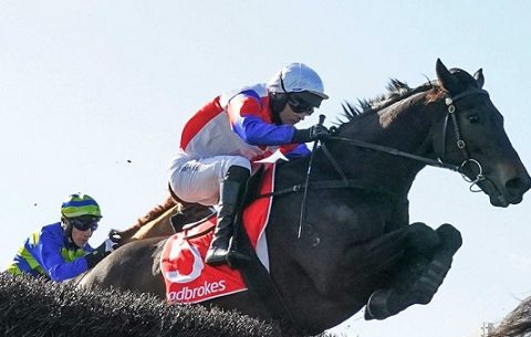 AUSTRALIA. Domenica a Ballarat si corre l’Ecycle Solutions Grand National Steeplechase sui 4500 metri, otto i partecipanti, grande attesa per rivedere all’opera il fenomenale Social Element
