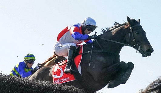 AUSTRALIA. Domenica a Ballarat si corre l’Ecycle Solutions Grand National Steeplechase sui 4500 metri, otto i partecipanti, grande attesa per rivedere all’opera il fenomenale Social Element