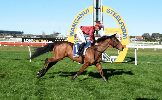 NUOVA ZELANDA. Sabato la 145 edizione del Grand National Steeple Chase a Riccarton Park. Sui grandi ostacoli e i 5600 metri del circuito di Canterbury, si sfidano i due veterani Tallyho Twinkletoes e Shamal, giunti nell’ordine nel warm up del Koral Steeple Chase