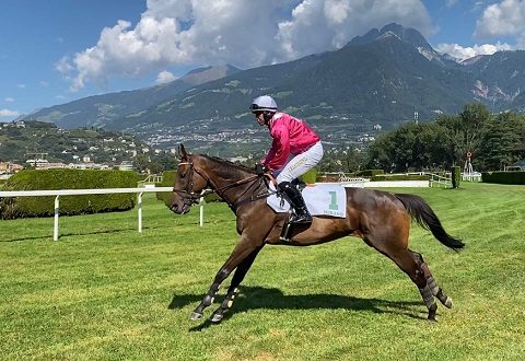 ITALIA. Merano, nel Mipaaf il grande ritorno di Al Bustan, il mattatore del Merano 2017, a undici anni con merito nel Caimi. Luigi Maceli top, vince in sella a Prince D’Orage la listed pro gran siepi, Big City con merito nella condizionata per i 4 anni, Ocean Life altro squillo polacco di Greg Wroblenwsky