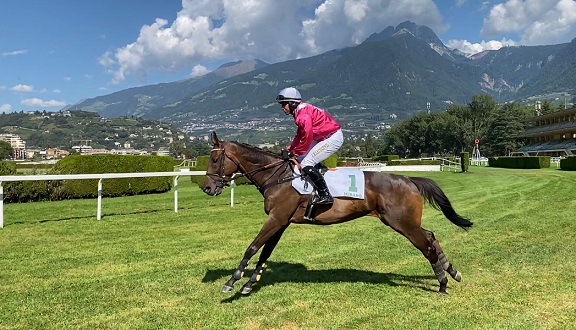 ITALIA. Merano, nel Mipaaf il grande ritorno di Al Bustan, il mattatore del Merano 2017, a undici anni con merito nel Caimi. Luigi Maceli top, vince in sella a Prince D’Orage la listed pro gran siepi, Big City con merito nella condizionata per i 4 anni, Ocean Life altro squillo polacco di Greg Wroblenwsky