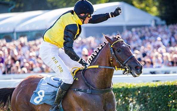 FRANCIA. Brunch Royal ci riprova questa domenica a Vittel. Dopo il secondo di Lyon Parilly, l’allievo di Pepi Vana cerca un altro squillo nell’impegnativo Grand Cross, in pista anche il veterano Argentier per Davide Satalia. Campo gara con il campione in carica Vent des Dunes, l’esperto Destin Sacre e il valido Chez Pedro