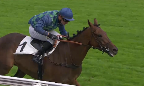 FRANCIA. Auteuil, Hermes Baie senza affanno nel Prix de Maisons Laffitte, il quattro anni allenato da Francois Nicolle vince in bello stile e guarda al Renaud Du Vivier, battuto l’ottimo Theleme. Sans Brut sbanca il Robert Lejeune, nettissima la vittoria per il tre anni targato David Cottin Louis Baudron, obbiettivo Cambacérès