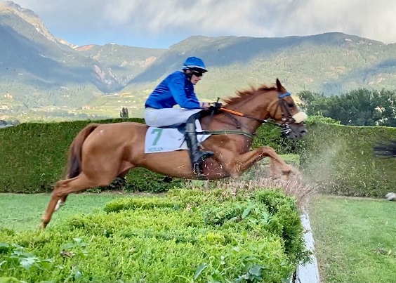 ITALIA. Nel ricordo di Giuseppe Chiodini la prova clou della penultima domenica a Maia, dove Assassin sfida il polacco Ocean Life e il top weight Prince D’Orage. Nel cross country la femmina Zubiena merita la pole contro il potente Almost Human, il veterano Il Superstite e Fly Filo Fly