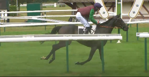 FRANCIA. Roi Mage e James Reveley in perfect style nel The Stomp. A Compiègne performance top per l’Ecurie Sagara, battuto Amour du Mathan, terzo l’atteso Garasil, rientro soft per Saint Turgeon