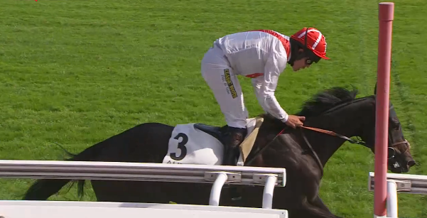 FRANCIA. Auteuil sabato grande appuntamento con il Prix Georges de Talhouët Roy e il Prix Pierre de Lassus, in pista i ‘Cottin’ Sans Brut e La Boétie e l’interessante You’re The Boss; fra i quattro anni in pista il crack Hermès Baie