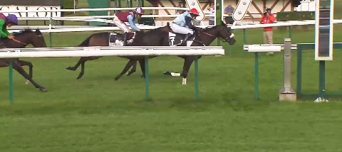 FRANCIA. Want of a Nail e Nathalie Desoutter vincono il Prix de La Gascogne e si candidano al Grand Steeple Chase de Compiègne. Battuto il ‘Nicolle’ Garasil (non troppo fortunato) e il favorito Roi Mage. Satalia secondo con Nurmi nello Chablis