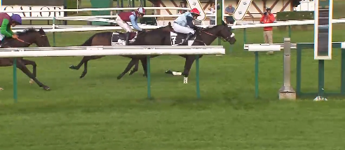 FRANCIA. Want of a Nail e Nathalie Desoutter vincono il Prix de La Gascogne e si candidano al Grand Steeple Chase de Compiègne. Battuto il ‘Nicolle’ Garasil (non troppo fortunato) e il favorito Roi Mage. Satalia secondo con Nurmi nello Chablis