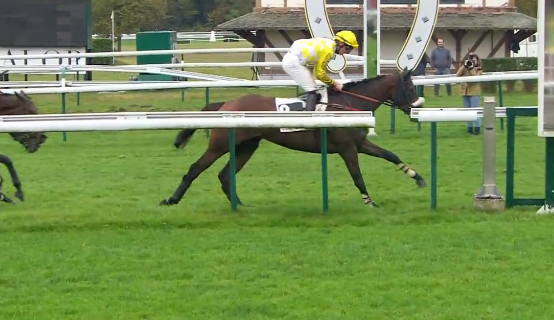 FRANCIA. Amour du Mathan e Pierre Dubourg a segno nel Grand Steeple Chase de Compiègne, l’allieva di Arnaud Chaillé Chaillé formatore già protagonista nella scorsa edizione grazie a Matfog, batte il rientrante Flying Startandco e il compagno Grandeur Nature