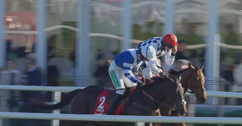 IRLANDA. Frodon e Bryony Frost encomiabili nel Ladbrokes Champion Chase a Down Royal, battuto il coraggioso Galvin e l’atteso Minella Indo. Per il formatore Paul Nicholls si tratta della quinta vittoria nel grade one irlandese