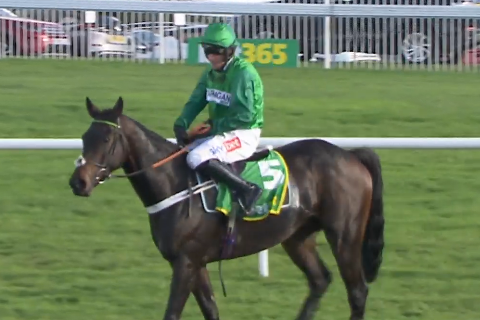 INGHILTERRA. Epilogo shock nella Charlie Hall Chase di Gr2 a Wetherby. Cyrname finisce pulled up per problemi di respirazione, il runner up Shan Blue cade a tre fence dalla fine a corsa vinta, Fusil Raffles e Daryl Jacob ringraziano