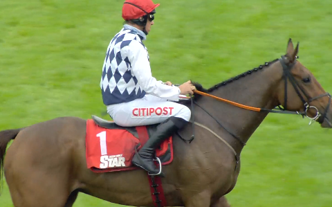 IRLANDA. Punchestown, Galvin e Davy Russell perfetti nella Coverage Stakes, al rientro l’allievo di Gordon Elliott batte in volata il grigio Annamix. Embittered e Bryan Cooper ok nell’altro Gr3 di giornata