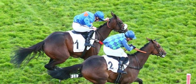 FRANCIA. Auteuil, Golden Son in versione extralusso batte Imprenable nel Georges de Talhouet-Roy e si candida al Cambacérès; rimandato Sans Bruit. Nel Pierre de Lassus ancora il crack Hermès Baie, che piega con un colpo di reni il progredito Thelème, appuntamento al Renaud du Vivier