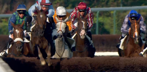 FRANCIA. Auteuil, L’Autonomie e Le Berry, coppia di fenomeni. La femmina targata Francois Nicolle vince anche il Camarthen e punta al Gp D’Automne, il grigio di David Cottin vola al rientro nell’Heros XII e guarda a La Haye Jousselin. L’Aubonniere vince l’Orcada in un arrivo fantastico