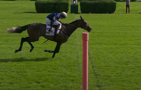 FRANCIA. Auteuil, giovedì bella edizione del Prix Magne Gr3 riservato alle femmine in siepi sulla distanza dei 3600 metri, in pista La Chenevière per la formazione di Francois Nicolle vs le ‘Bryant’ Matilda e Hawai du Berlais