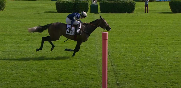 FRANCIA. Auteuil, giovedì bella edizione del Prix Magne Gr3 riservato alle femmine in siepi sulla distanza dei 3600 metri, in pista La Chenevière per la formazione di Francois Nicolle vs le ‘Bryant’ Matilda e Hawai du Berlais