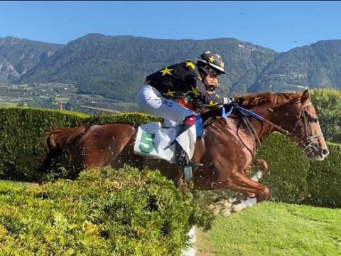 ITALIA. Merano, Rock Tango puntuale vince la prova per i novizi sulle siepi. Dorian Tango imita il compagno largheggiando nello steeple (doppio Agus); Favero super en plein fra i tre anni dove vince la femmina Shambara, Moved batte Birthday Boy nella periziata