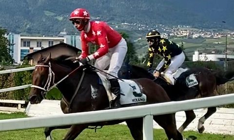 ITALIA. Merano, ultimo atto di una stagione bella ed intensa. Quattro le prove in ostacoli per un programma di buona qualità. Raffaele Romano ha vinto il trofeo Hurdle & Chase per gli allenatori ed è sulla via per vincere anche la classifica stagionale dei jockey a più tre da Gabriele Agus