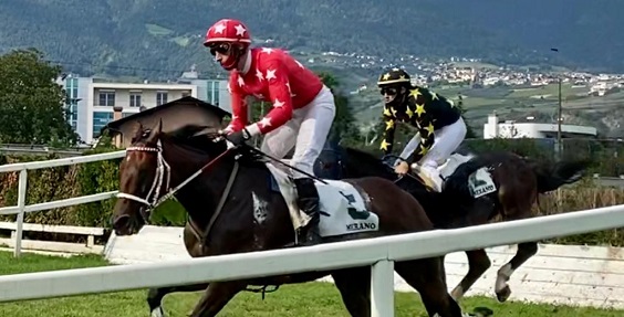 ITALIA. Merano, ultimo atto di una stagione bella ed intensa. Quattro le prove in ostacoli per un programma di buona qualità. Raffaele Romano ha vinto il trofeo Hurdle & Chase per gli allenatori ed è sulla via per vincere anche la classifica stagionale dei jockey a più tre da Gabriele Agus