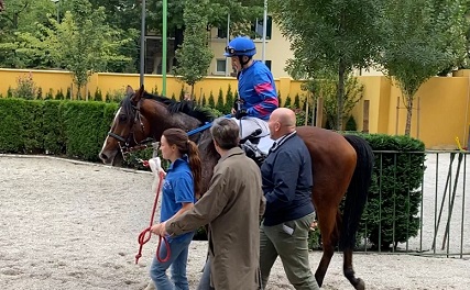 ITALIA. Treviso, Illico Cremont atteso da una conferma fra i giovanissimi nel Premio Treviso. Normandy Dela Vega e Capitoul attesi sullo steeple, Toi Meme e Moved nel recupero del Milani; incerto l’ascendente dell’Arma di Cavalleria