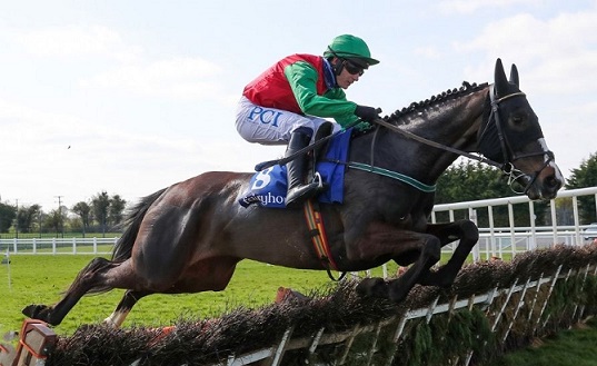 IRLANDA. Domenica a Punchestown appuntamento con il grade one della Morgiana Hurdle. Gordon Elliott al via con il detentore del titolo Abacadabras e il quattro anni Zanahiyr vs Willie Mullins che rilancia per il rientro stagionale la potente mares Echoes In Rain eil veterano Sharjah; Darasso in pista per Patrick O’Brien