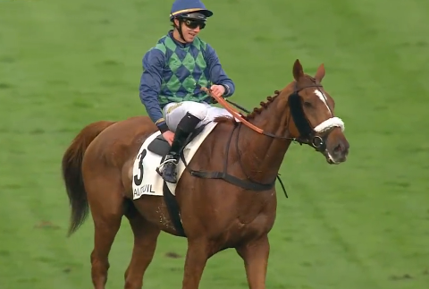 FRANCIA. Super Galop, super Marin, super Morgan! Il nove anni allenato da Dominique Bressou vince per il quarto anno consecutivo il Grand Prix D’Automne, battuta la campionessa e calda favorita L’Autonomie, terzo Folsom Prince. Arnaud Chaillé Chaillé e Pierre Dubourg si prendono Congress e Bournosienne, grazie alle due devastanti vittorie dei crack Latino Des Isles e Hawai du Berlais