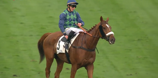 FRANCIA. Super Galop, super Marin, super Morgan! Il nove anni allenato da Dominique Bressou vince per il quarto anno consecutivo il Grand Prix D’Automne, battuta la campionessa e calda favorita L’Autonomie, terzo Folsom Prince. Arnaud Chaillé Chaillé e Pierre Dubourg si prendono Congress e Bournosienne, grazie alle due devastanti vittorie dei crack Latino Des Isles e Hawai du Berlais