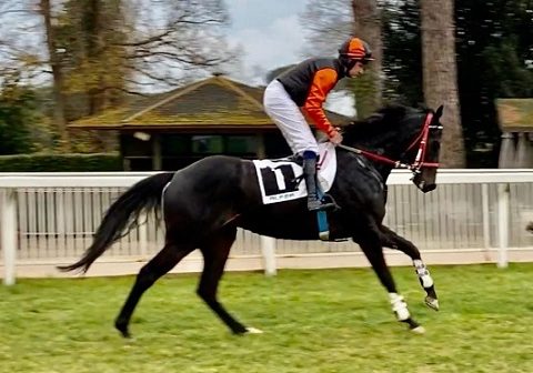 ITALIA. Pisa, Black Watch buona la prima sullo steeple. L’allievo di Raf Romano perfetto nella Prova D’Assaggio precede il compagno Callistemon; brutta caduta per Alex Pollioni. L’importato Mauricius piega First Daum nella condizionata, Exalted Leader ok nella maiden, Dopo di Me vola nella periziata