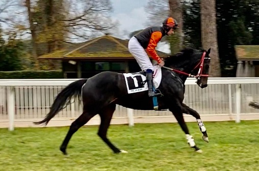 ITALIA. Domenica a Merano il primo atto della sessione Estate Autunno. Quattro le prove riservate ai saltatori, clou il Premio Alpha Two, steeple chase per 4 anni ed oltre dove il gravato Ocean Life vs il poker Romano, forte di Black Watch in sella al quale salirà Jan Faltejsek