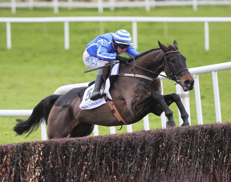 IRLANDA. Domenica a Cork atteso il rientro del promettente Energumene. L’allievo di Willie Mullins appartenente a Tony Bloom,  torna in pista nel Kerry Group Hilly Way Chase di Gr2, per il vincitore di Arkle e Ryanair Novice, in sella ci sarà Sean O’Keffe