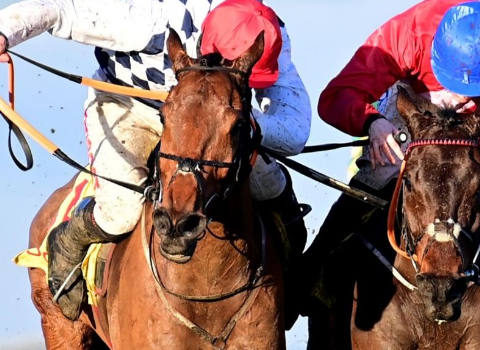 IRLANDA. Galvin e Davy Russel strepitosa vittoria nella Savill Chase di Gr 1 a Leopardstown, battuto il favorito A Plus Tard, adesso la Gold Cup. Klassical Dream fa tutto da ‘solo’ l’allievo di Willie Mullins domina la Christmas Hurdle con un calibrato coast to coast