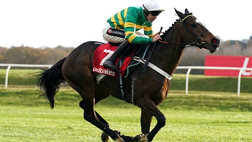 INGHILTERRA. Jonbon ok nel warm up di martedì a Kempton Park, l’allievo di Nicky Henderson ha spazzato via le illazioni sul suo precario stato di forma, il McManus pronto per la Supreme di Cheltenham. Nella giornata buon lavoro anche per gli altri allievi della formazione di Seven Barrows, fra questi Costitution Hill e la femmina Epatante