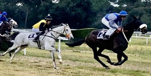 ITALIA. Domenica super trittico a San Rossore, si corrono Gran Siepi Nazionale, Neni Da Zara e Criterium D’Inverno. Nella champion hurdle toscana di Gr1 Dominique sfida Zanini e il suo compagno Mauricius, Big City, Paolo e Skins Rock in agguato. Neni con Callistemon e Nathalea Great, Criterium incerto con buone proposte