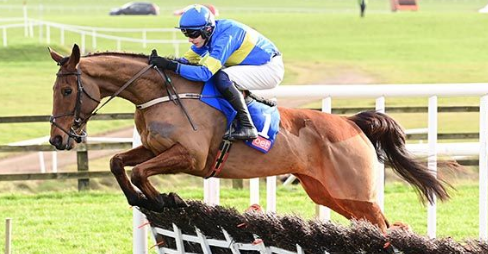 IRLANDA. Punchestown, Dysart Dynamo devastante nella Moscow Flyer di Gr2, l’allievo di Willie Mullins interpretato da Paul Townend, scende a 7/2 per la Ballymore. Bob Olinger e Rachael Blackmore ok nella Kildare Novice Chase