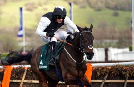 INGHILTERRA. Cheltenham terzo atto. Flooring Porter e Danny Mullins perfetti nella Stayer’s Hurdle concedono il bis. Allaho domina per il secondo anno consecutivo la Ryanair Chase, Galopin Des Champs cade a corsa vinta nella Turners, Bob Olinger e Rachael ringraziano