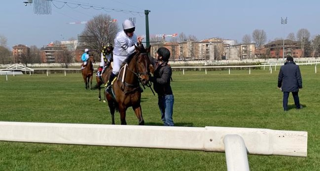 ITALIA. Zdenek Semenka si prende San Siro. Il trainer di Kudlovice vince Corona Ferrea e Celeste Citterio grazie alla splendida novità Machinos fra gli esordienti di 4 anni, e il veterano Skins Rock nella prova preparatoria alla prossima Gran Corsa Siepi; ottimo test per Mauricius e il rientrante Live Your Life. In apertura en plein Aichner con Palm Springs e Caribean Green, doppio Lukas Matusky