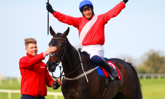 IRLANDA. Allaho, horse machine! Il portacolori di Cheveley Park allenato da Willie Mullins, sfodera una prestazione monster che gli consente di vincere per manifesta superiorità la Punchestown Gold Cup nel secondo giorno del festival, battuto il detentore della corsa Clan Des Obeaux. Mullins tripla di Gr1, sono cinque in 48 ore