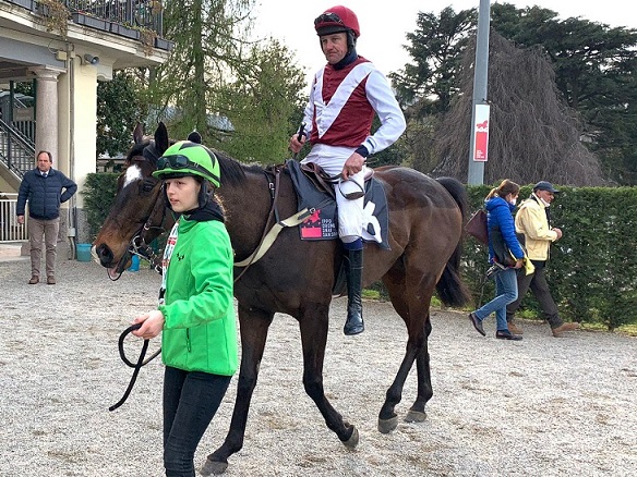 ITALIA. San Siro show. Domenica di grandi salti sull’otto meneghino con la sfida sui 5000 del Grande Steeple Chase di Milano; accattivante, bella ed incerta la Gran Corsa Siepi, il tradizionale Staffe D’Oro, Corsa Siepi dei 4 anni e il Giulio Berlingeri per i giovani saltatori sulle siepi