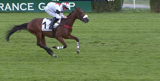 FRANCIA. Ad Auteuil splendida replica di Latino des Isles, l’allievo di Arnaud Chaillé Chaillé sbanca un decimato Fleuret e si candida per il Ferdinand Dufaure. Altro warm up di qualità per il polacco Isatis de l’Ecu nel Virelan