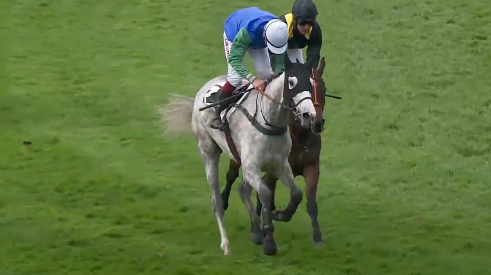 FRANCIA. Compiègne, Ma Beauté e Ludovic Philipperon piegano all’ultimo respiro la favorita La Boetie nel Prix Hopper, test di preparazione al Ferdinand Dufaure di Auteuil. Nella giornata, Magic Davier per i colori di Christian Troger e il training di Davide Satalia, ottimamente pilotato da Maximilien Farcinade vince il Prix de Castets, quarto il compagno Tacares