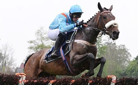 IRLANDA. Chiusa la stagione irlandese. Nell’ultimo atto al festival di Punchestown, Nicky Henderson vince la Mares Hurdle replicando Cheltenham con la potente Marie’s Rock interpretata da Nico de Boinville; Vauban prospetto interessante per il futuro, si prende la Champion Four Year Old Hurdle