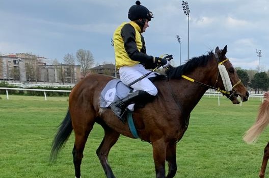 ITALIA. Seconda giornata a Treviso. Wopart contro Mensch nella periziata sulle siepi. Fra i quattro anni Mago Zurlì e Black Star attesi in progresso, Foli Siffai alternativa temibile, sullo steeple chase torna il veterano Il Superstite alla 13esima primavera