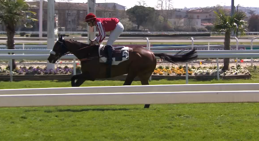 FRANCIA. Gai Luron a sorpresa nel Grand Steeple Chase de Toulouse. L’allievo di Nicolas de Lageneste interpretato da Gaetan Masure, vince di forza piegando nel finale il generoso leader Funway, terzo Starko; cade il favoritissimo Virgo Celestin