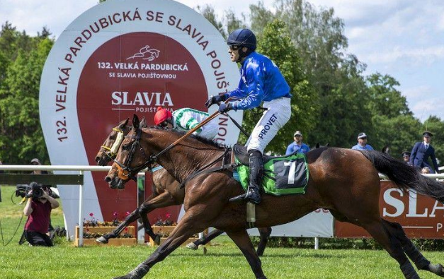 REPUBBLICA CECA. Clamoroso Del Rey, l’allievo di Zdenek Mimra interpretato da Jakub Kocman vince il primo turno di qualificazione al Velka Pardubice compiendo un vero e proprio prodigio, utile per battere sul filo di lana Theophilos e Jo Bartos, terzo No Time To Loose