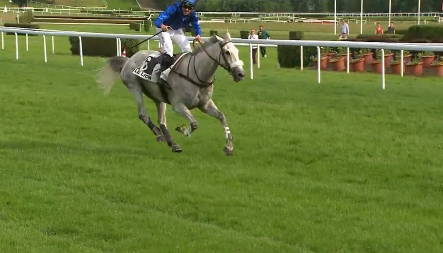 FRANCIA. Demon De Fleur e Romain Julliot a bersaglio nel Grand Steeple Chase Alain Du Breil Prix de L’Asselco a Le Lion D’Angers. L’allievo di Noam Chevalier domina la corsa senza commettere errori, conservando di fatto il titolo conquistato nella passata edizione