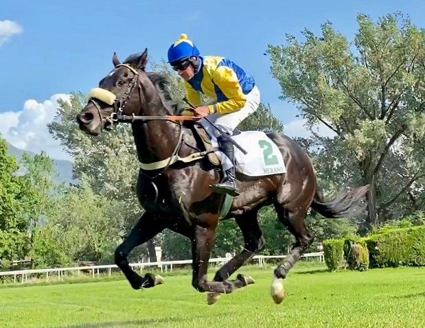 ITALIA. Merano, Dont’ Dream buona impressione fra i giovani esordienti del Prime Siepi, dove l’allievo di Pavel Tuma vince con disinvoltura battendo il Tanghetti More Than A Habit. Darkalon esordio ad hoc nella maiden per tre anni, Sergio Giorgi ad eliminazione dove vince Burrows Lane; Mensch e Sopran Epicuro doppio trainer Romano