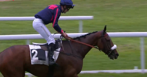 FRANCIA. Romain Juilliot moment magique. Il jockey di Château-Gontier vince il Prix Anjou Loire Challenge Grand Cross a Le Lion D’Angers in sella a Dèbut de Printemps, replicando il successo ottenuto lo scorso giovedì nel Grand Steeple Chase Alain du Breil in sella a Demon de Fleur