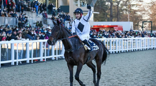 FRANCIA. Domenica super con il Grand Steeple Chase de Paris, Alain Du Breil e Ferdinand Dufaure. Sui 6000 della Route des Lacs nel Bois de Boulogne a Montmartre si confrontano in sedici, un’edizione bellissima con Willie Mullins che lancia la sfida ai francesi provando a sfatare il tabù Parigi