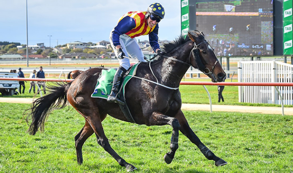 AUSTRALIA. Heberite, top performance nel Grand Annual Steeple Chase sui 5500 metri a Warrnambool. L’allievo di Ciaron Maher, allenatore alla sesta vittoria nella ricca classica dell’altro emisfero, ha preceduto Police Camp ed Eyes Are Blue sotto la splendida gestione di William McCarthy